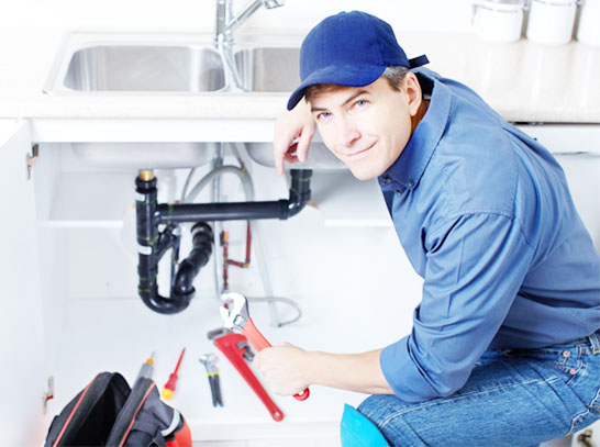 Nhân viên gia bảo luôn nhiệt tình và có trách nhiệm